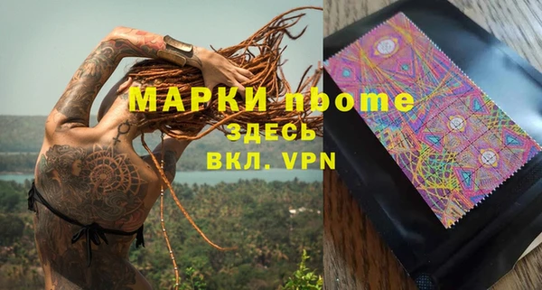 крисы Болотное