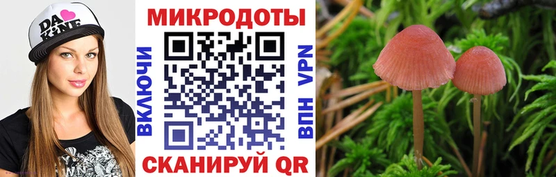 Псилоцибиновые грибы Cubensis  Белореченск 