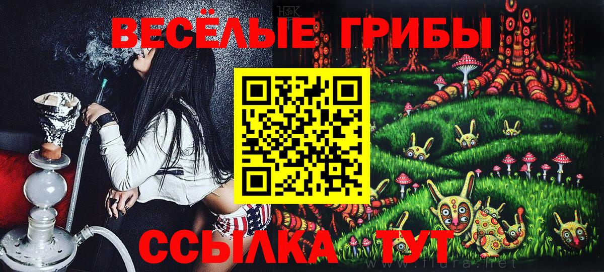 Галлюциногенные грибы Psilocybine cubensis Белореченск