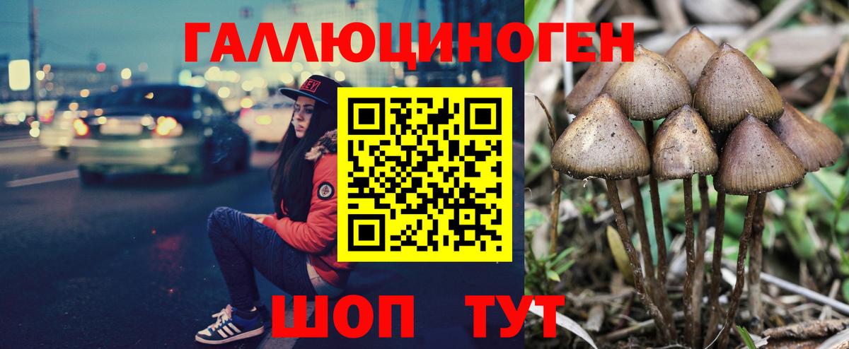 Псилоцибиновые грибы Psilocybine cubensis  где можно купить наркотик  Белореченск  Вход с VPN 