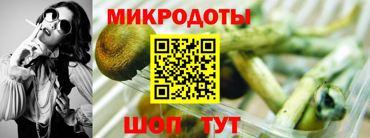 закладки  Галлюциногенные грибы GOLDEN TEACHER  Белореченск  Псилоцибиновые грибы прущие грибы 