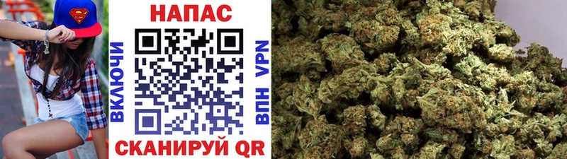 Конопля White Widow наркотики Белореченск